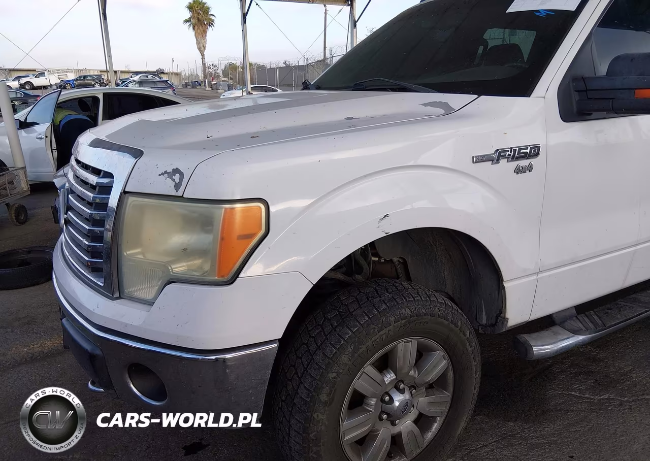 2010 Ford F-150 Fx4-Harley-Davidson-King Ranch-Lariat-Platinum-Xl-Xlt VIN:1FTFW1EV3AKA75719 - 14