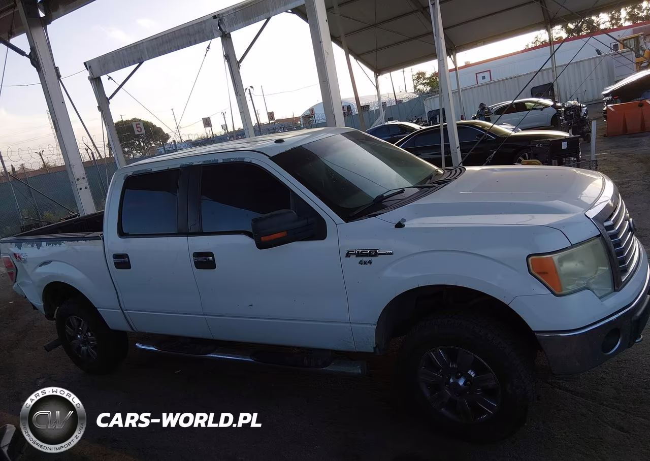 2010 Ford F-150 Fx4-Harley-Davidson-King Ranch-Lariat-Platinum-Xl-Xlt VIN:1FTFW1EV3AKA75719 - 16