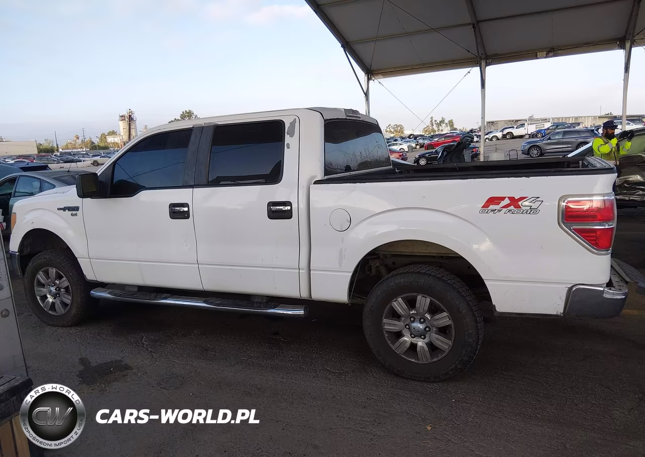 2010 Ford F-150 Fx4-Harley-Davidson-King Ranch-Lariat-Platinum-Xl-Xlt VIN:1FTFW1EV3AKA75719 - 17