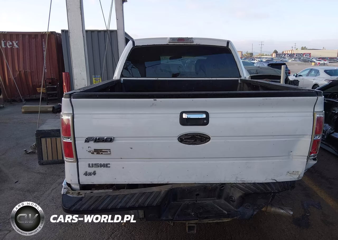 2010 Ford F-150 Fx4-Harley-Davidson-King Ranch-Lariat-Platinum-Xl-Xlt VIN:1FTFW1EV3AKA75719 - 19