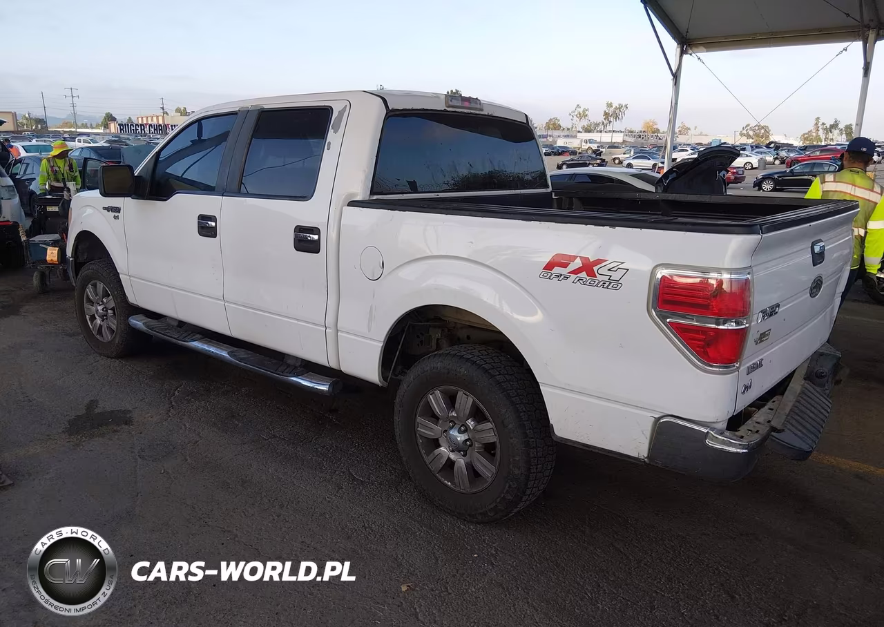 2010 Ford F-150 Fx4-Harley-Davidson-King Ranch-Lariat-Platinum-Xl-Xlt VIN:1FTFW1EV3AKA75719 - 3
