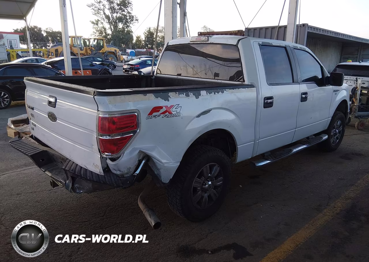 2010 Ford F-150 Fx4-Harley-Davidson-King Ranch-Lariat-Platinum-Xl-Xlt VIN:1FTFW1EV3AKA75719 - 4