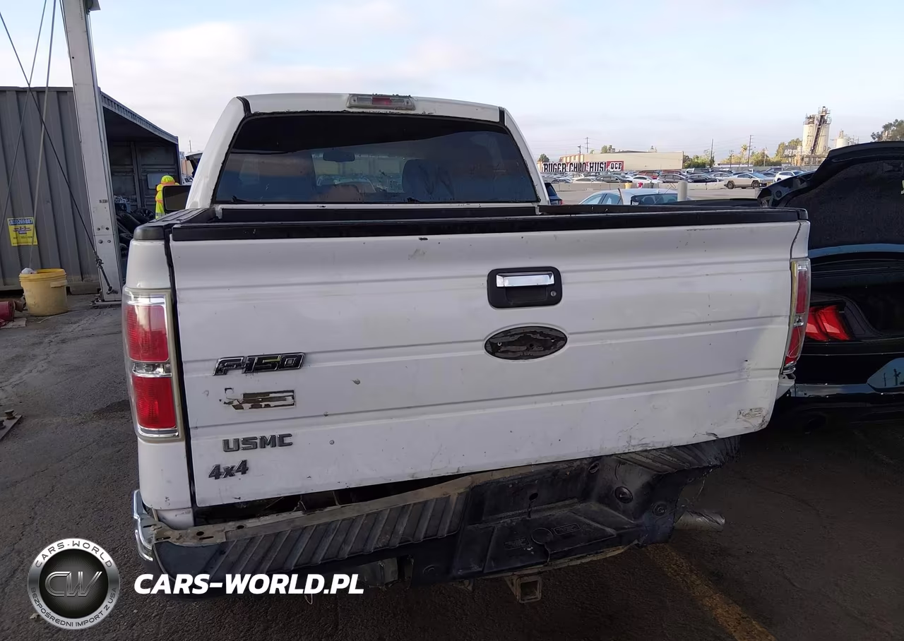 2010 Ford F-150 Fx4-Harley-Davidson-King Ranch-Lariat-Platinum-Xl-Xlt VIN:1FTFW1EV3AKA75719 - 6