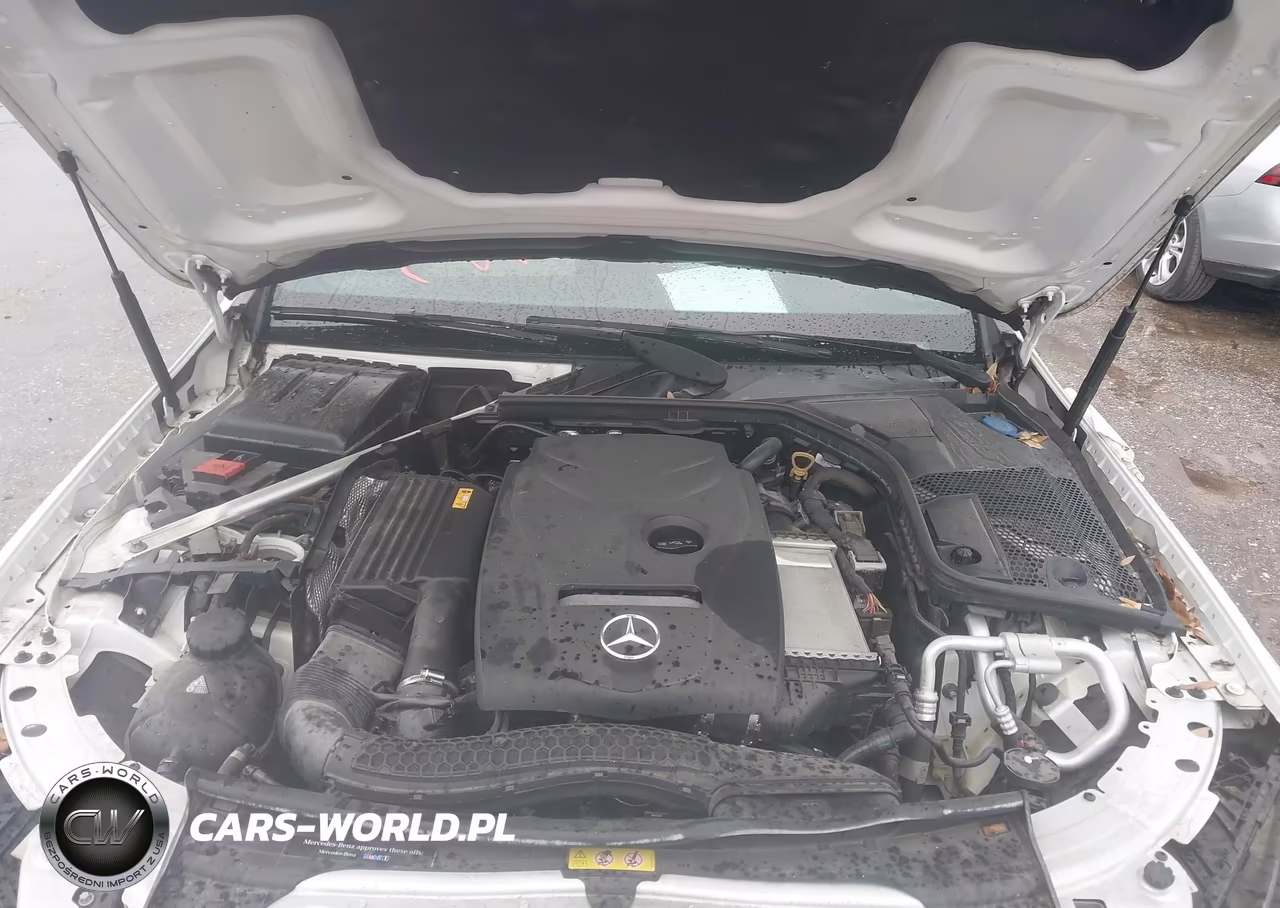 2018 Mercedes-Benz C 300 VIN:55SWF4JB3JU240306 - 10