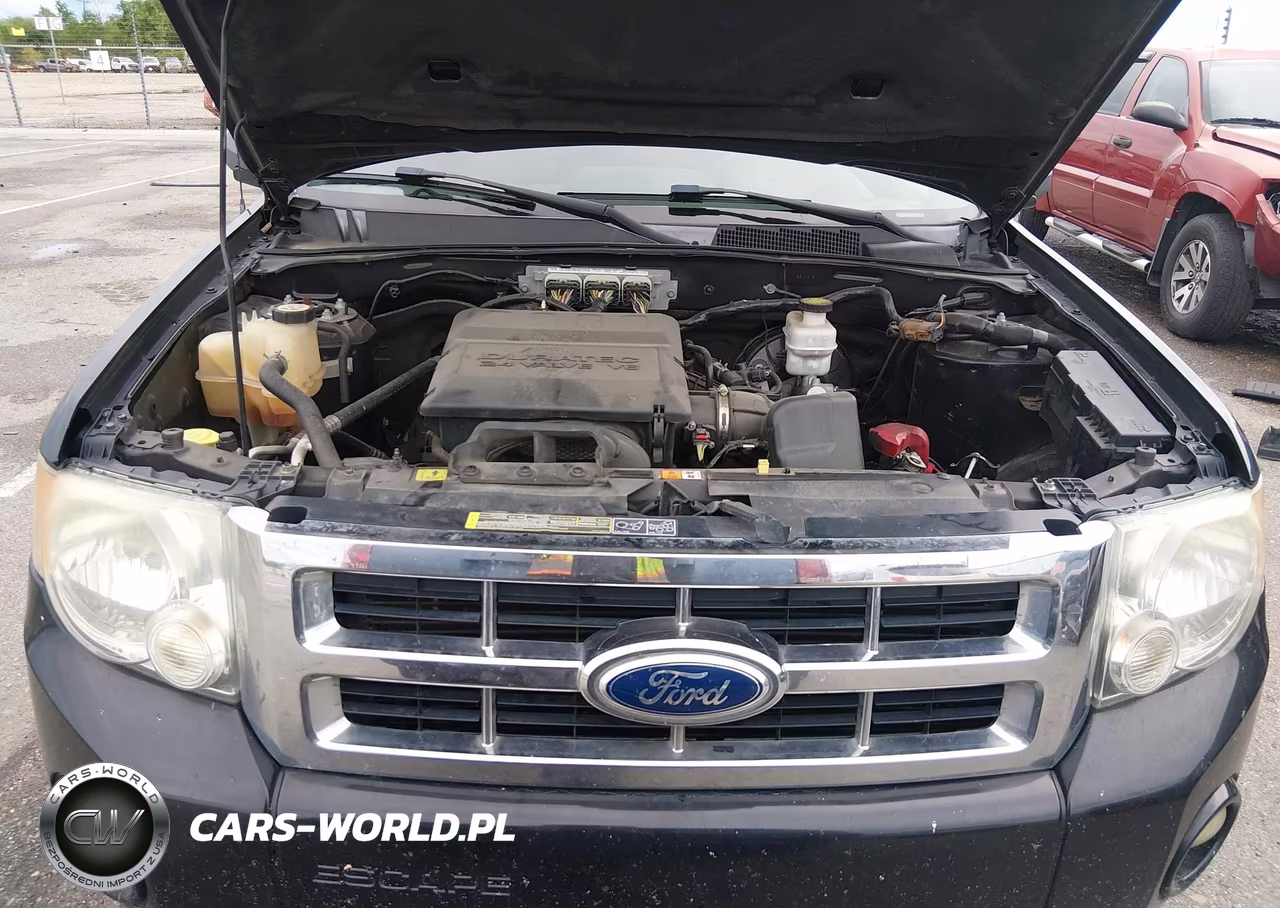 2012 Ford Escape Xlt VIN:1FMCU0DG2CKB48972 - 10