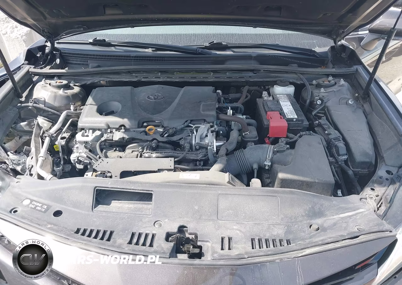2019 Toyota Camry Xle VIN:4T1B11HK8KU804328 - 10