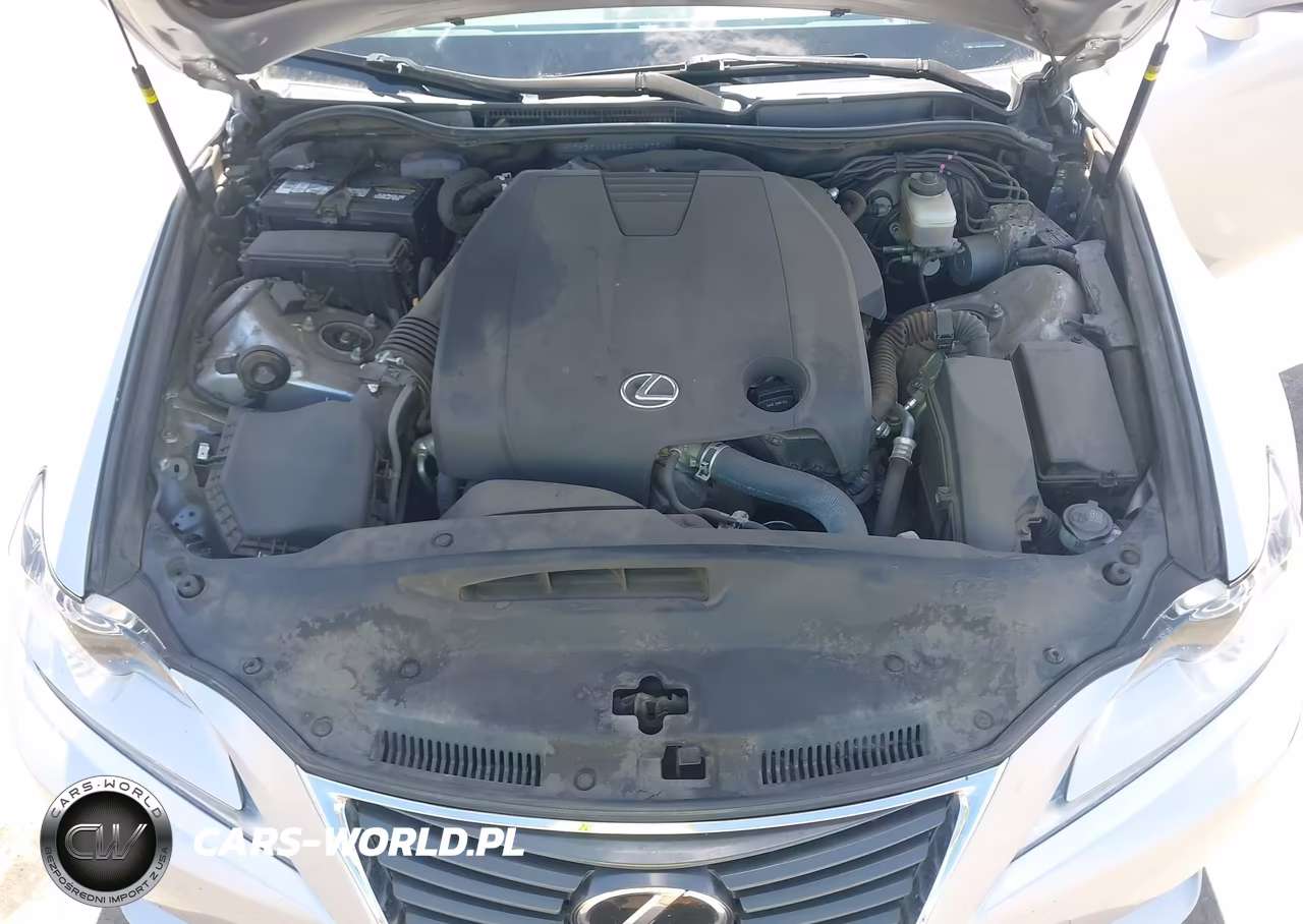 2015 Lexus Is 250 VIN:JTHBF1D28F5074933 - 10