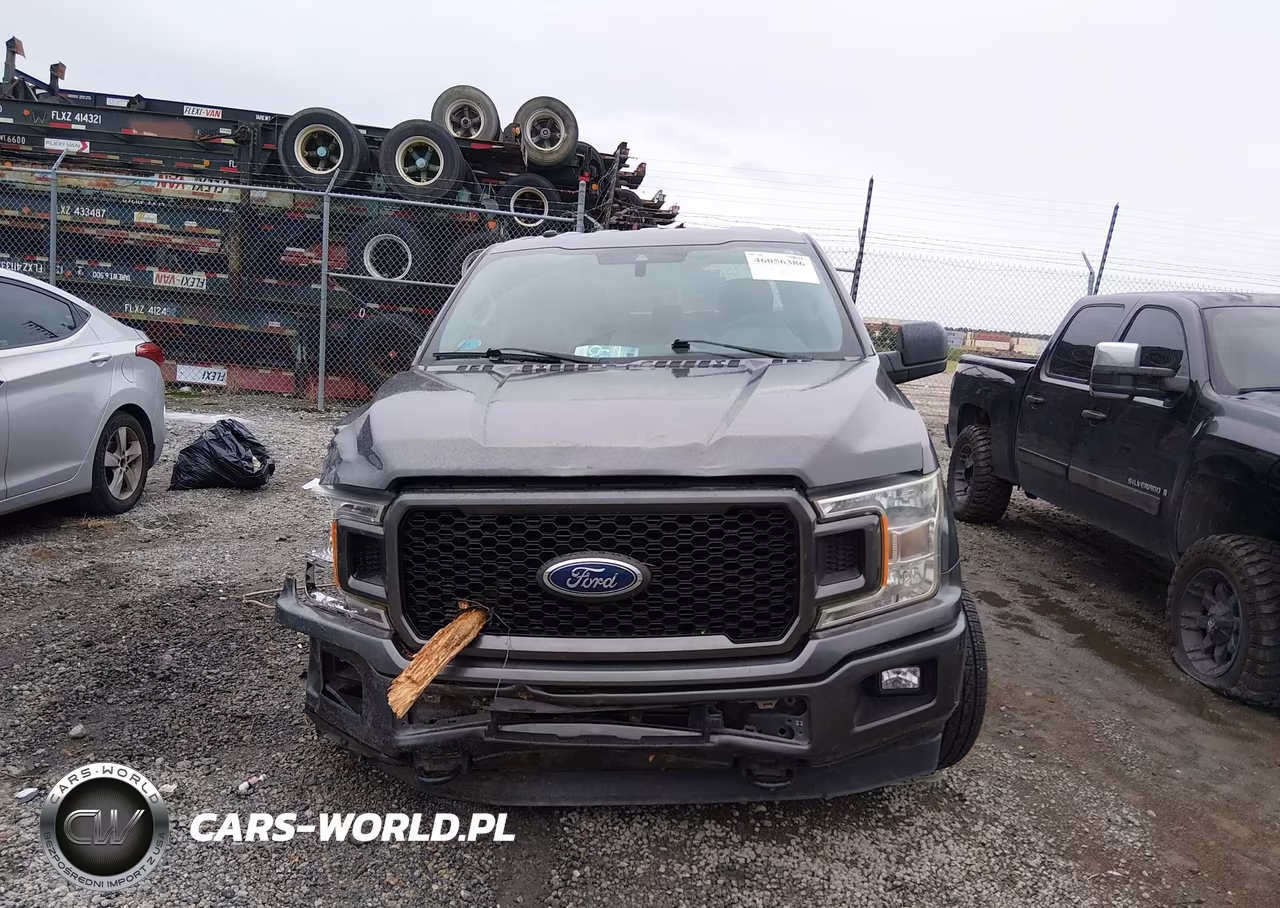 2019 Ford F-150 Xl VIN:1FTEW1EP8KFA30346 - 13