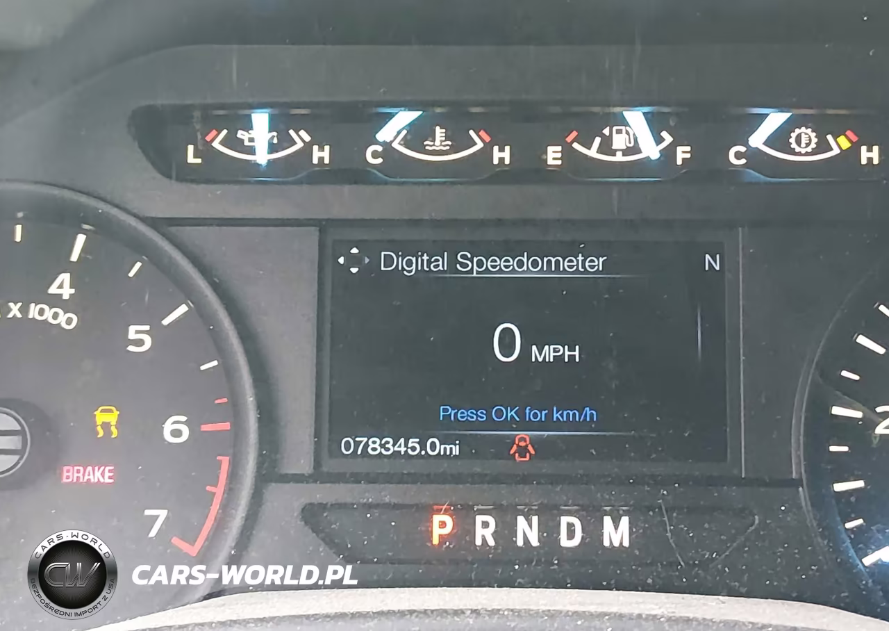 2019 Ford F-150 Xl VIN:1FTEW1EP8KFA30346 - 16