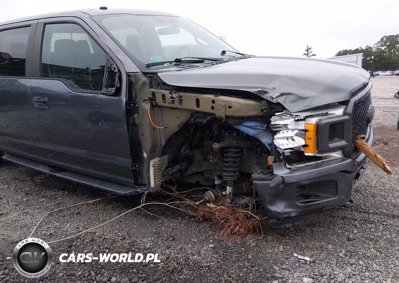 2019 Ford F-150 Xl VIN:1FTEW1EP8KFA30346 - 18