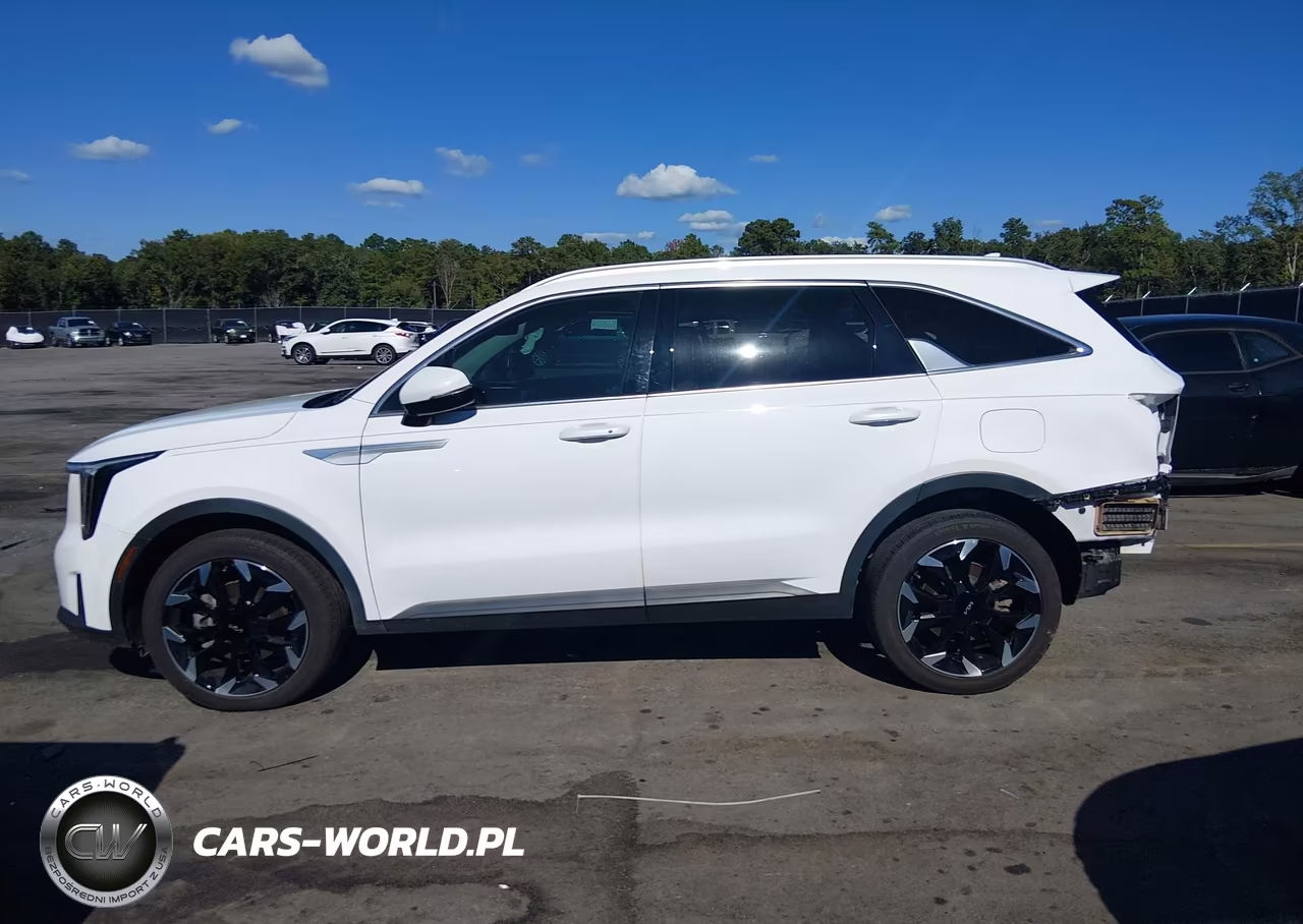 2024 Kia Sorento Ex VIN:5XYRH4JF7RG306520 - 15