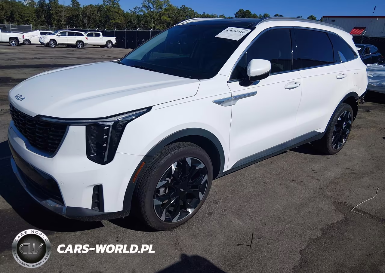 2024 Kia Sorento Ex VIN:5XYRH4JF7RG306520 - 2