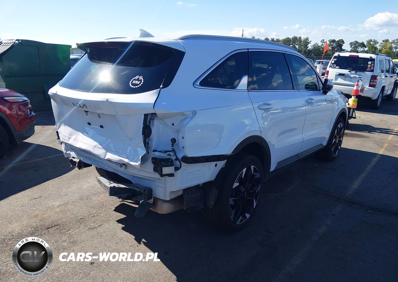 2024 Kia Sorento Ex VIN:5XYRH4JF7RG306520 - 4