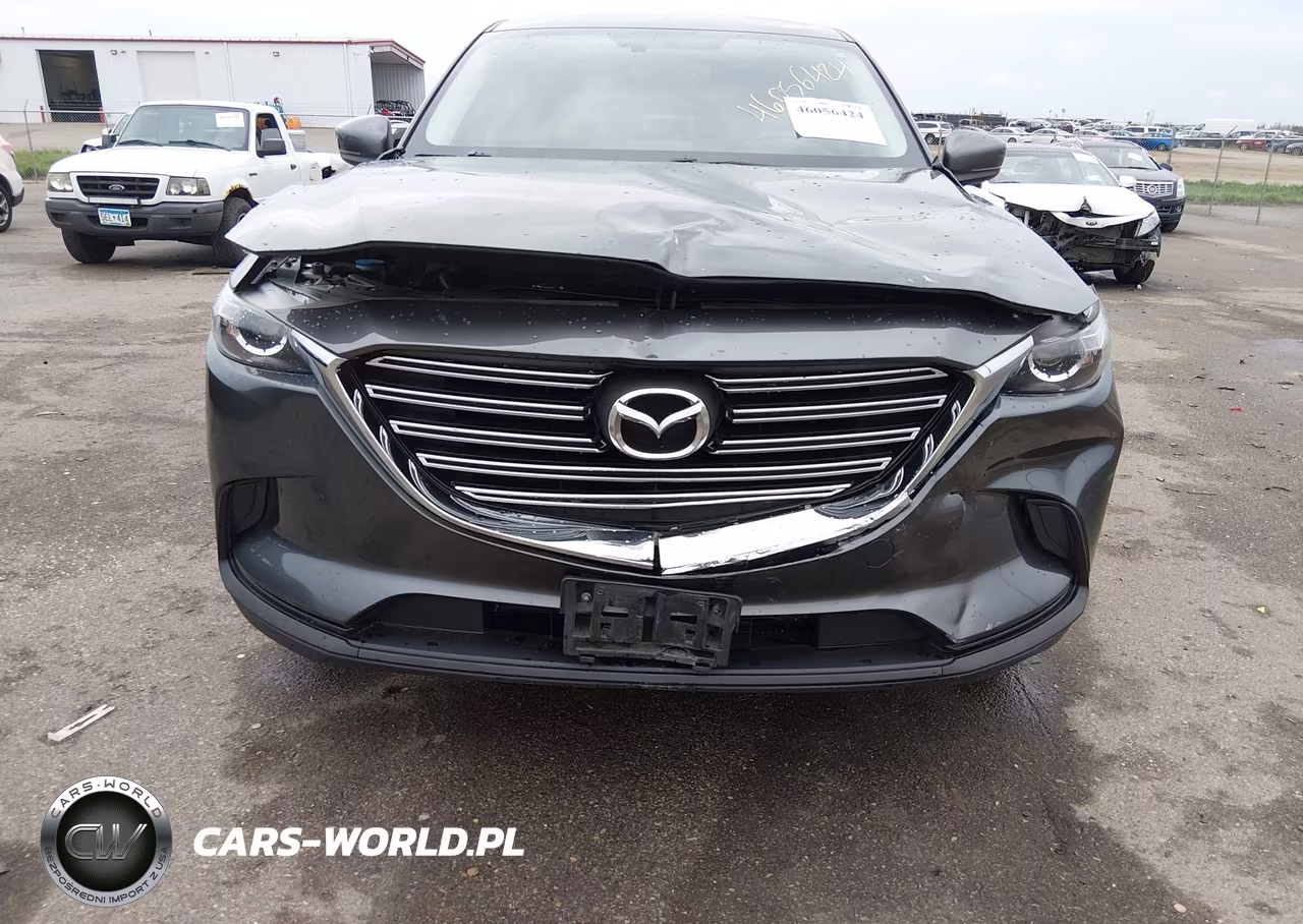 2016 Mazda Cx-9 Touring VIN:JM3TCBCY8G0124715 - 6