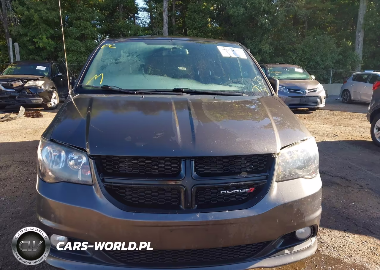 2015 Dodge Grand Caravan Sxt VIN:2C4RDGCG3FR558193 - 12