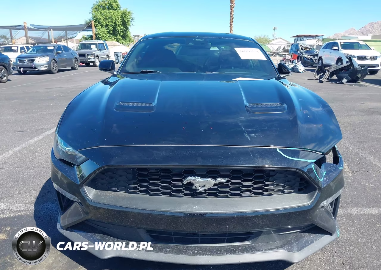 2021 Ford Mustang Ecoboost Fastback VIN:1FA6P8TH4M5150990 - 13