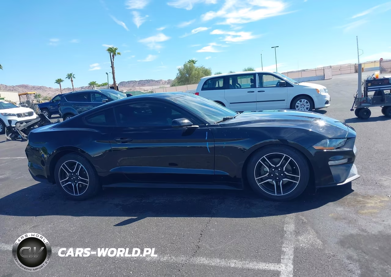 2021 Ford Mustang Ecoboost Fastback VIN:1FA6P8TH4M5150990 - 14