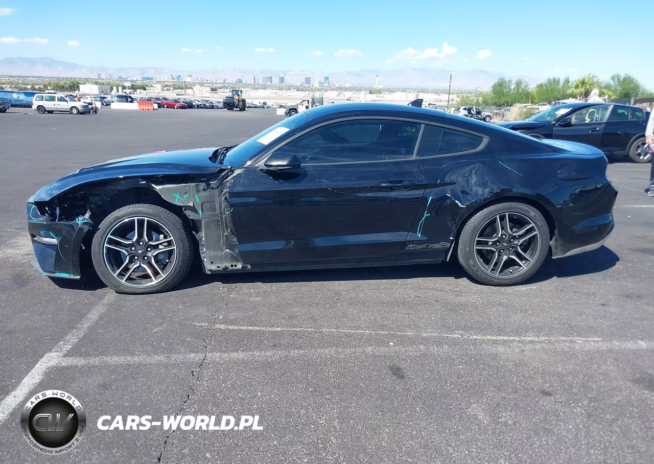 2021 Ford Mustang Ecoboost Fastback VIN:1FA6P8TH4M5150990 - 15