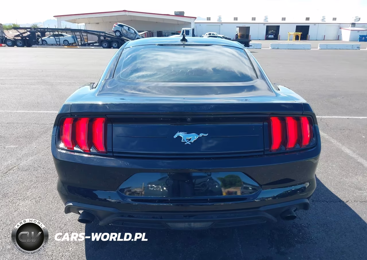 2021 Ford Mustang Ecoboost Fastback VIN:1FA6P8TH4M5150990 - 17