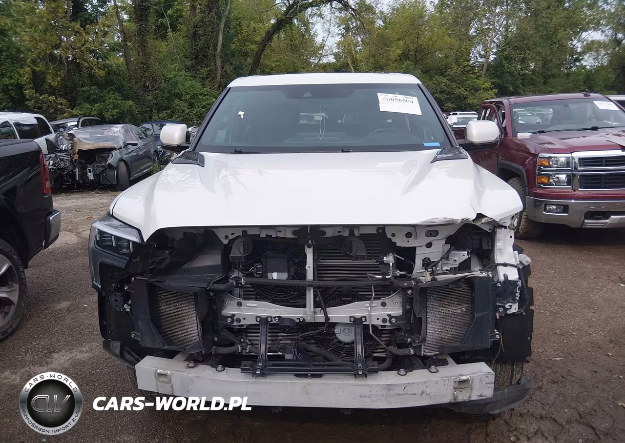 2024 Toyota Tundra Hybrid Platinum 4Wd VIN:5TFNC5DB1RX083321 - 13