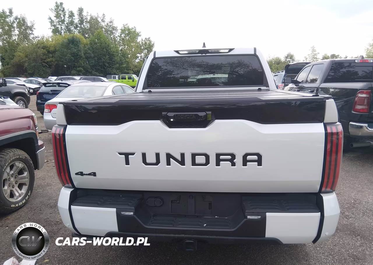 2024 Toyota Tundra Hybrid Platinum 4Wd VIN:5TFNC5DB1RX083321 - 17