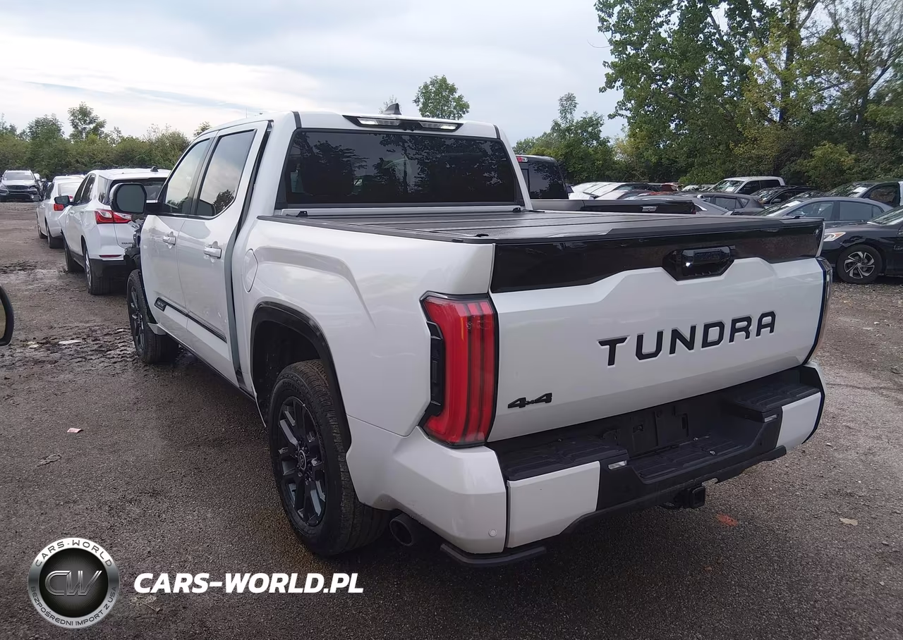 2024 Toyota Tundra Hybrid Platinum 4Wd VIN:5TFNC5DB1RX083321 - 3