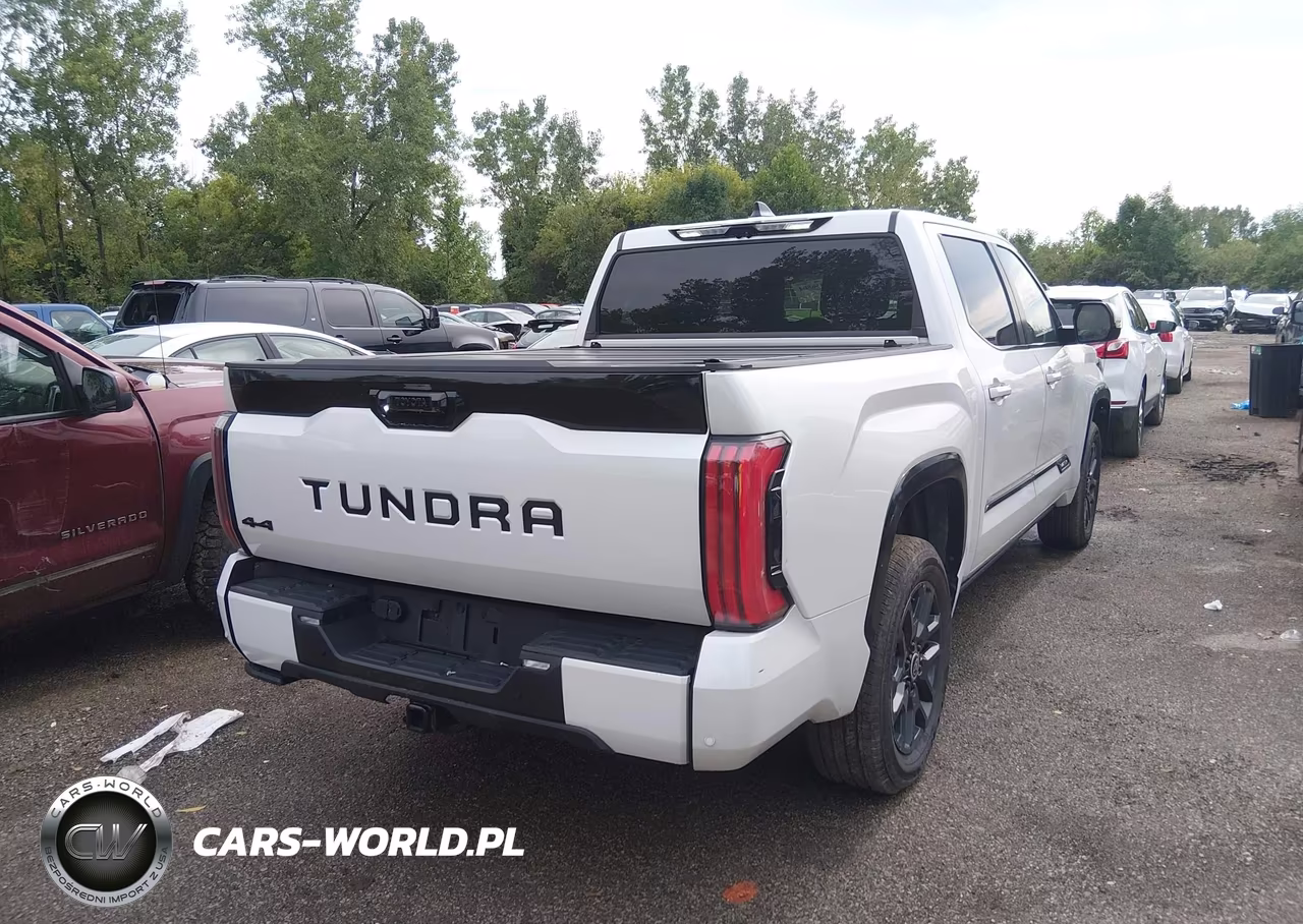 2024 Toyota Tundra Hybrid Platinum 4Wd VIN:5TFNC5DB1RX083321 - 4