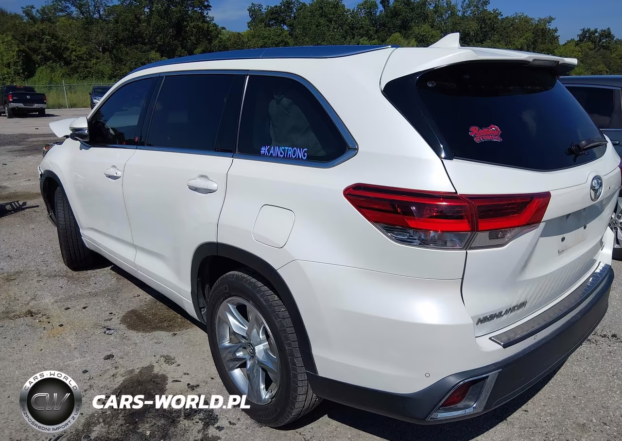 2019 Toyota Highlander Limited VIN:5TDYZRFH5KS359709 - 3