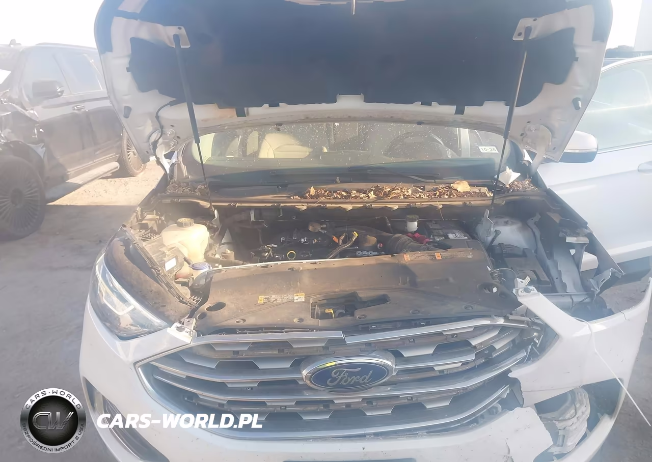 2019 Ford Edge Sel VIN:2FMPK3J95KBB46236 - 10