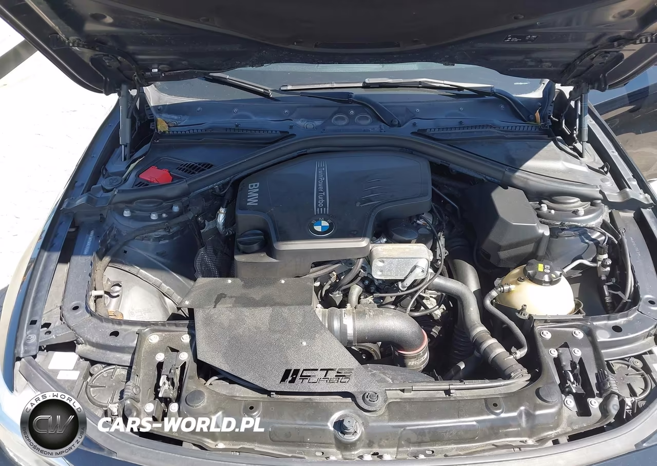 2016 BMW 428I VIN:WBA3N7C56GK228269 - 10