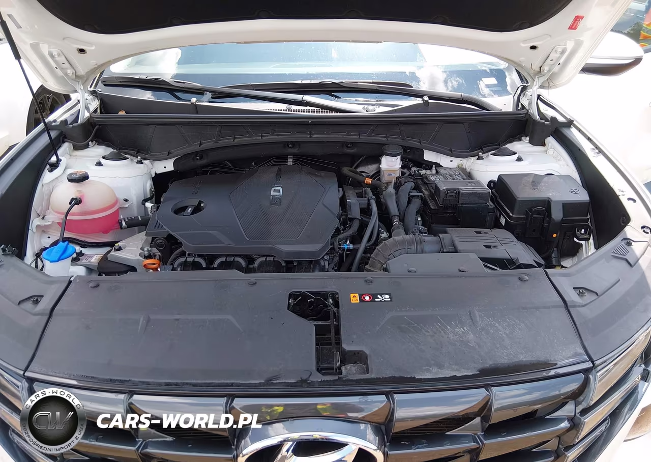 2024 Hyundai Tucson Sel VIN:5NMJF3DE1RH330043 - 10