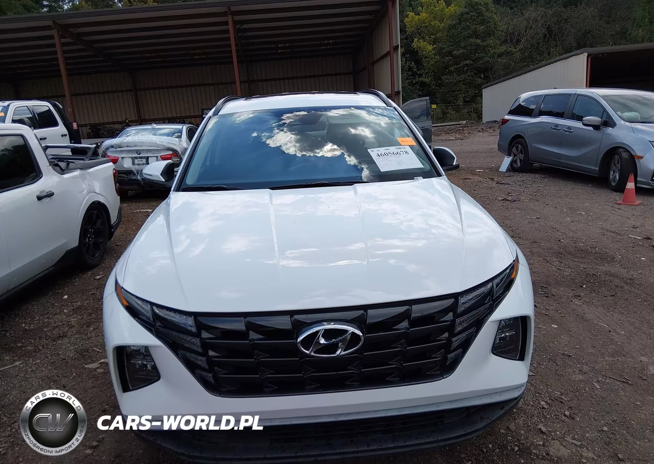 2024 Hyundai Tucson Sel VIN:5NMJF3DE1RH330043 - 13