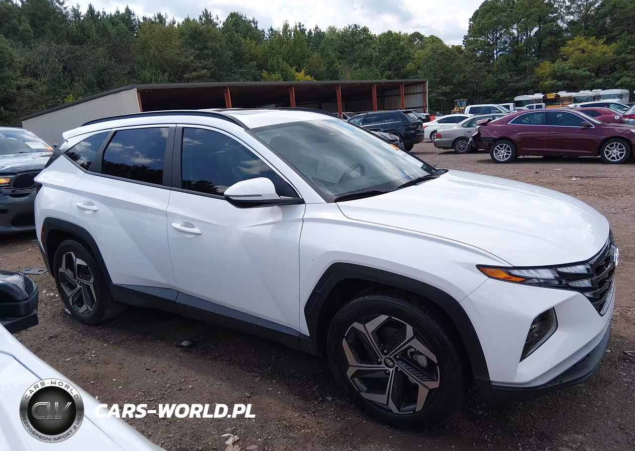 2024 Hyundai Tucson Sel VIN:5NMJF3DE1RH330043 - 14