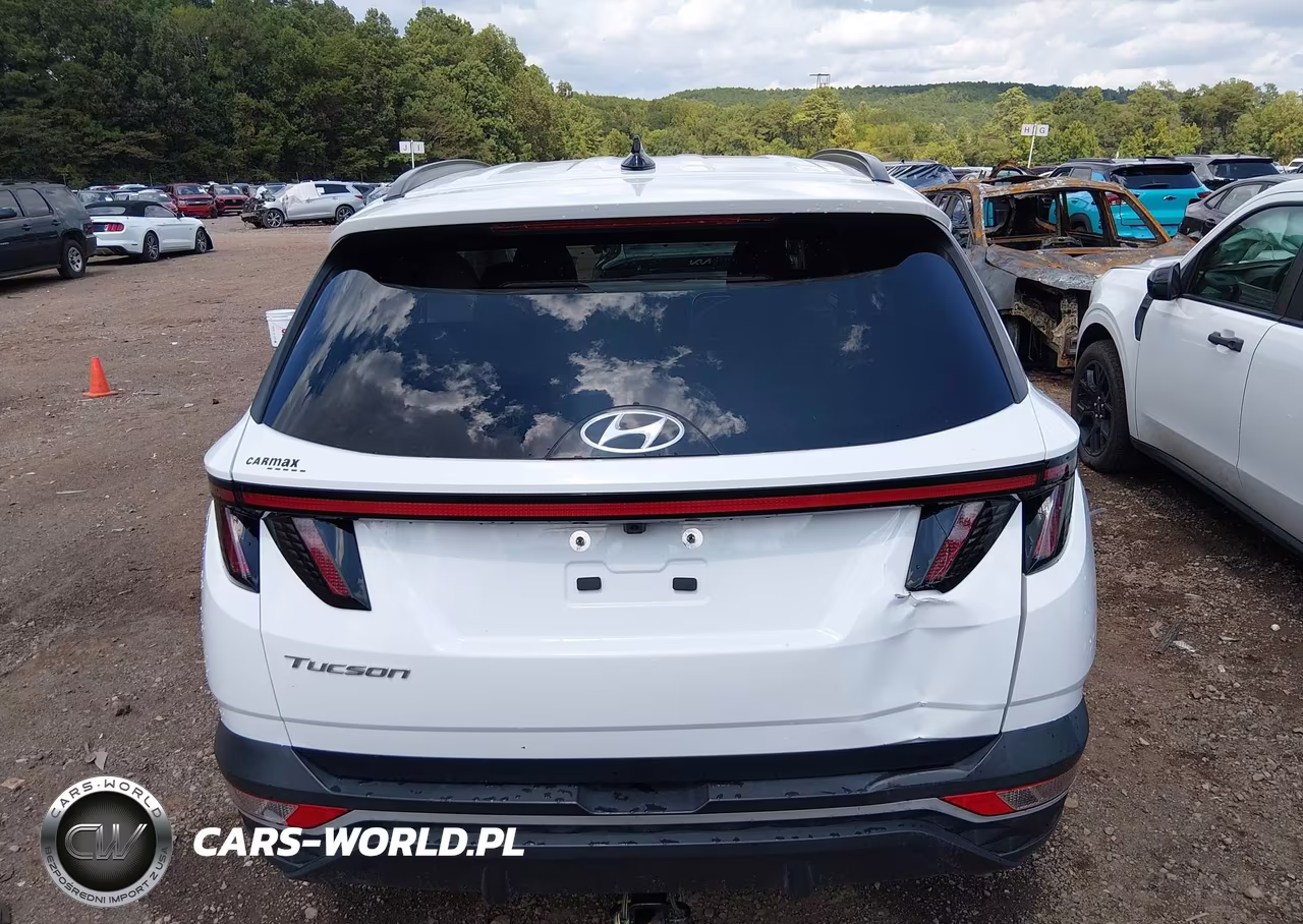 2024 Hyundai Tucson Sel VIN:5NMJF3DE1RH330043 - 17
