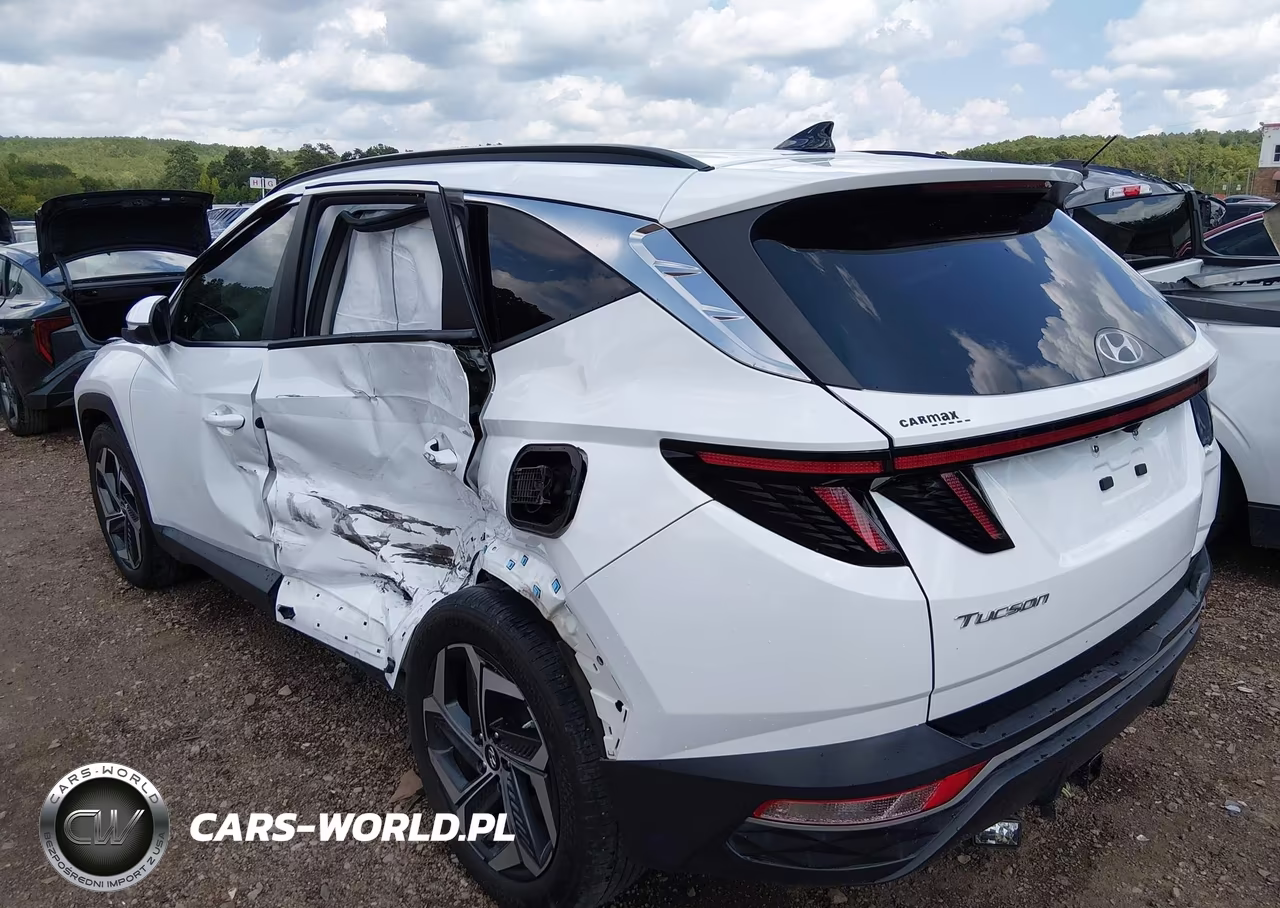 2024 Hyundai Tucson Sel VIN:5NMJF3DE1RH330043 - 6