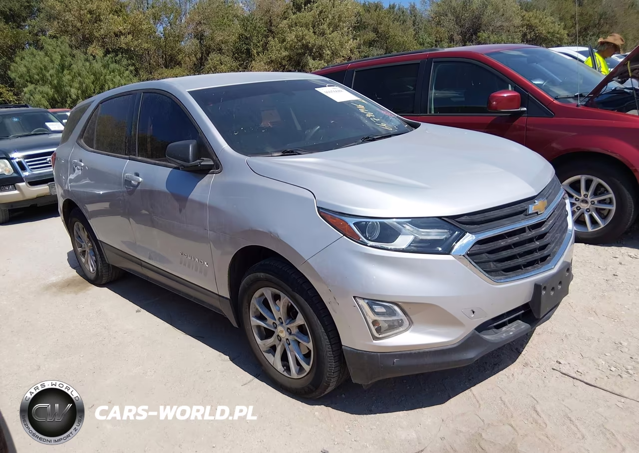 2019 Chevrolet Equinox Ls – zdjęcie 1 z 16