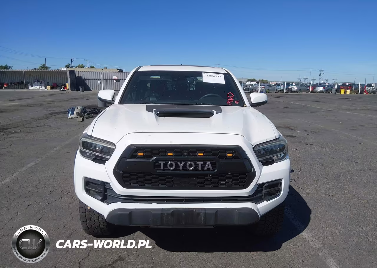2020 Toyota Tacoma Trd Pro VIN:5TFCZ5AN4LX217234 - 13