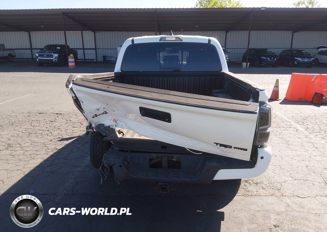 2020 Toyota Tacoma Trd Pro VIN:5TFCZ5AN4LX217234 - 6