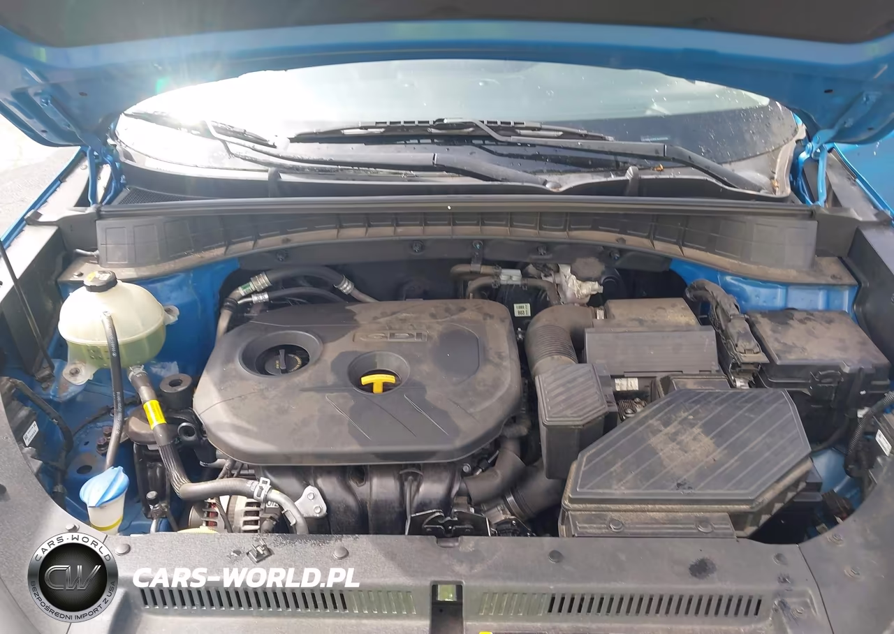 2019 Hyundai Tucson Se VIN:KM8J23A41KU950246 - 10