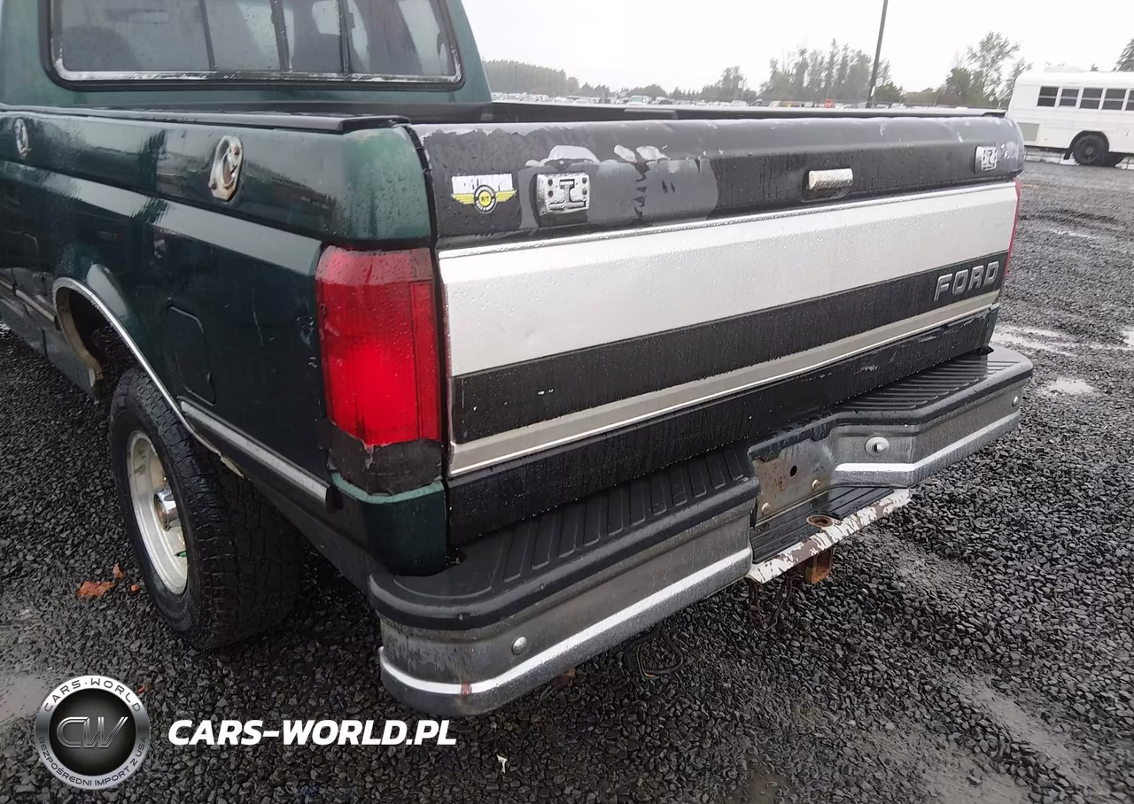 1993 Ford F150 VIN:1FTEX14N9PKB46912 - 13