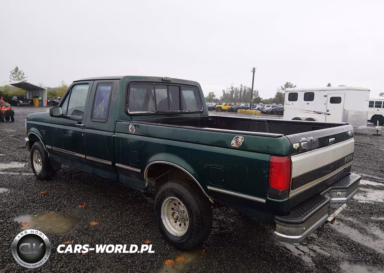 1993 Ford F150 VIN:1FTEX14N9PKB46912 - 3