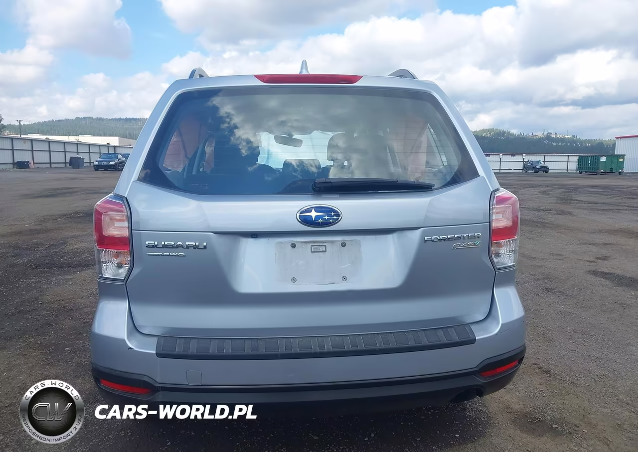 2017 Subaru Forester 2.5I VIN:JF2SJABC1HH447440 - 16