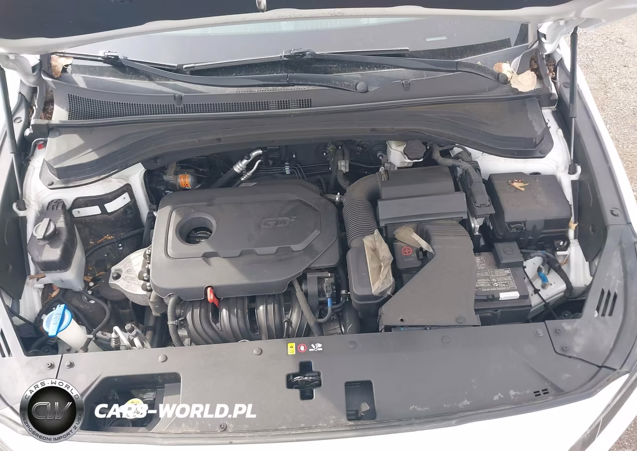 2020 Hyundai Santa Fe Sel VIN:5NMS33ADXLH207244 - 10