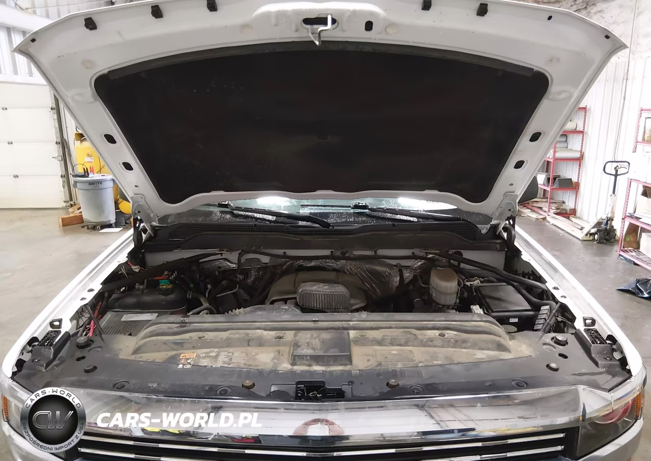 2018 Chevrolet Silverado 2500Hd Wt VIN:1GC1KUEG2JF261382 - 10