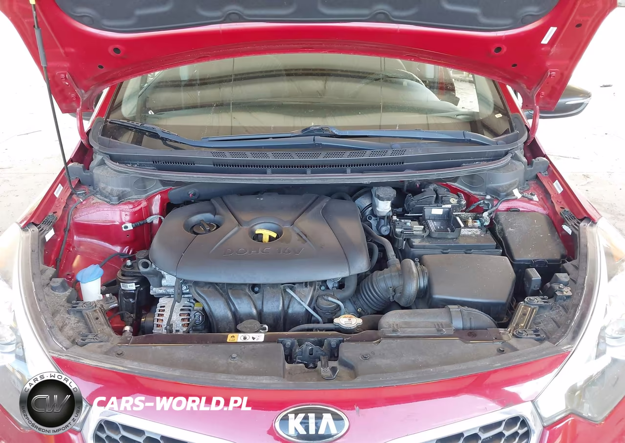 2015 Kia Forte Lx VIN:KNAFX4A63F5256612 - 10