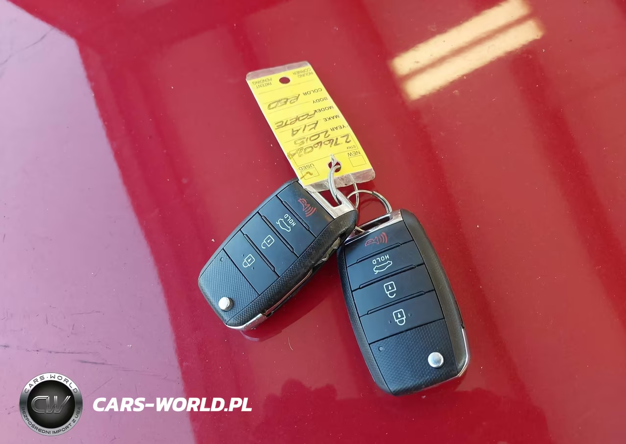 2015 Kia Forte Lx VIN:KNAFX4A63F5256612 - 11