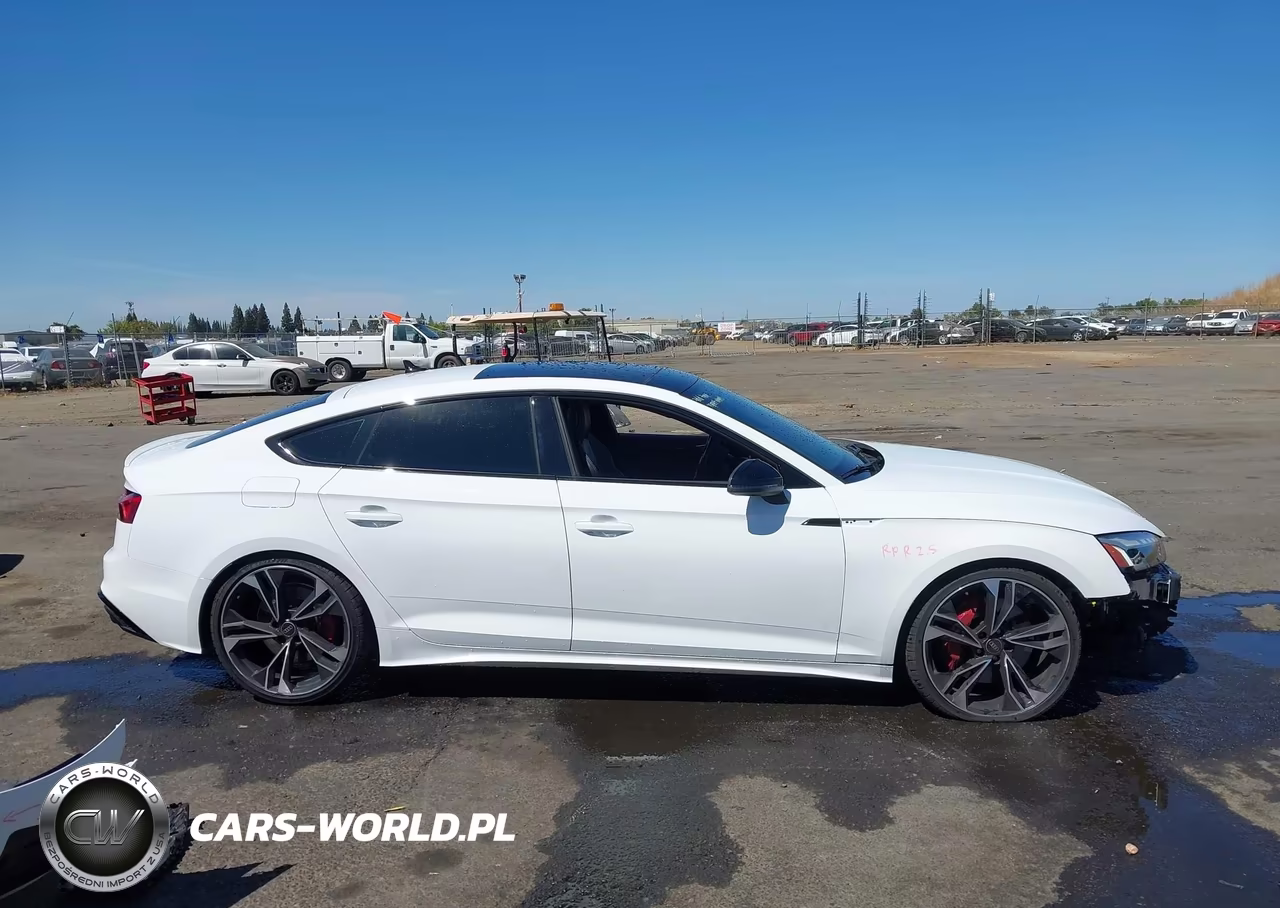 2023 Audi S5 Sportback Premium Plus Tfsi Quattro Tiptronic VIN:WAUC4CF59PA038737 - 14