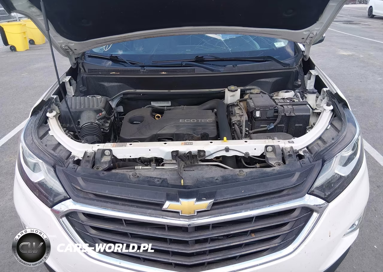 2018 Chevrolet Equinox Lt VIN:2GNAXJEV4J6317127 - 10