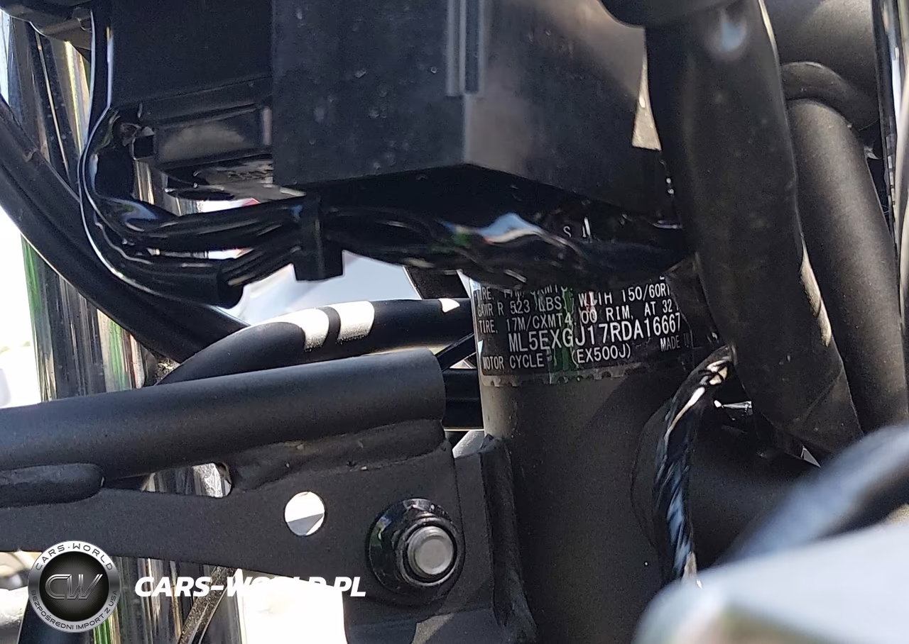 2024 Kawasaki Ex500 A-B VIN:ML5EXGJ17RDA16667 - 10