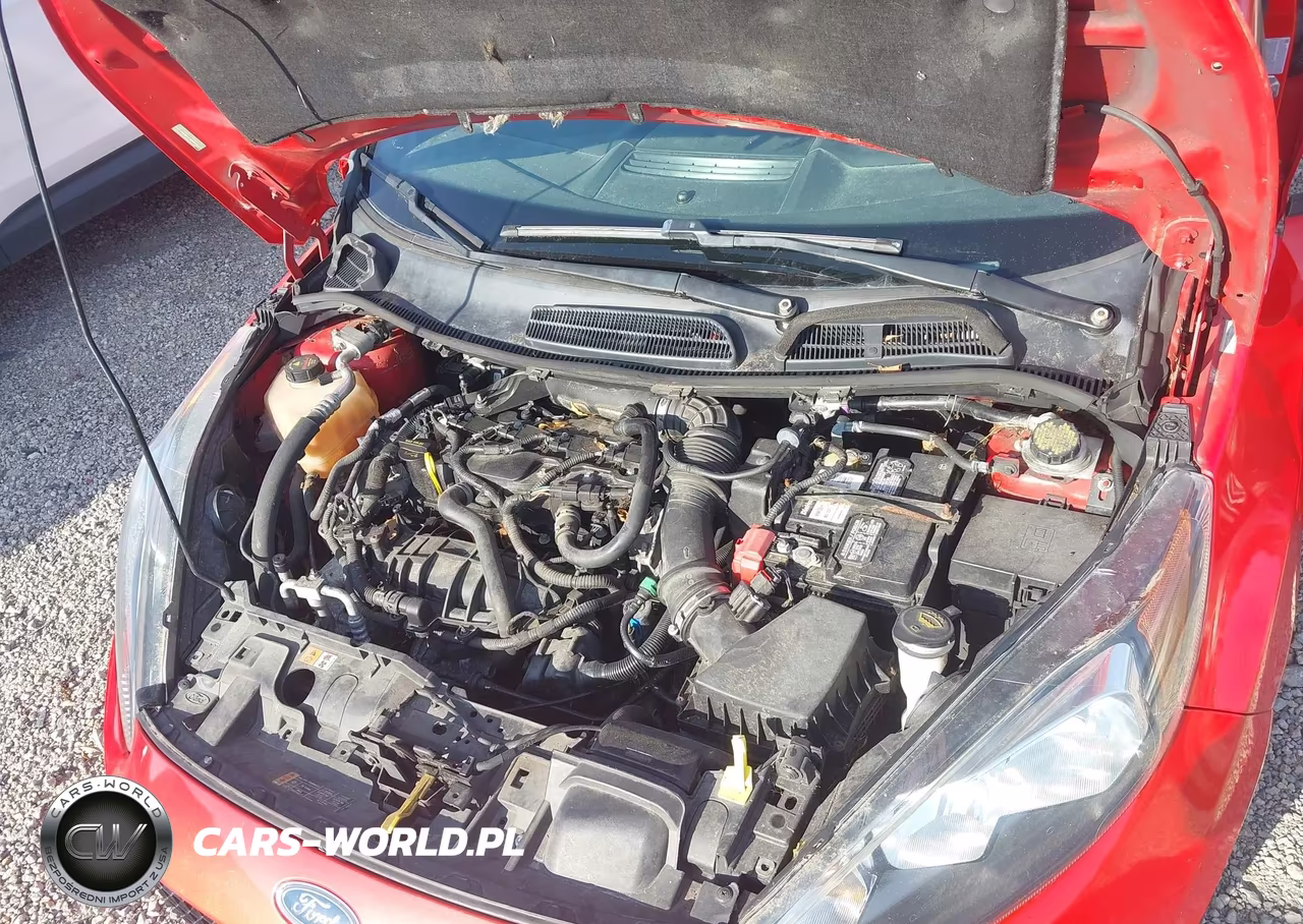 2014 Ford Fiesta St VIN:3FADP4GXXEM132474 - 10